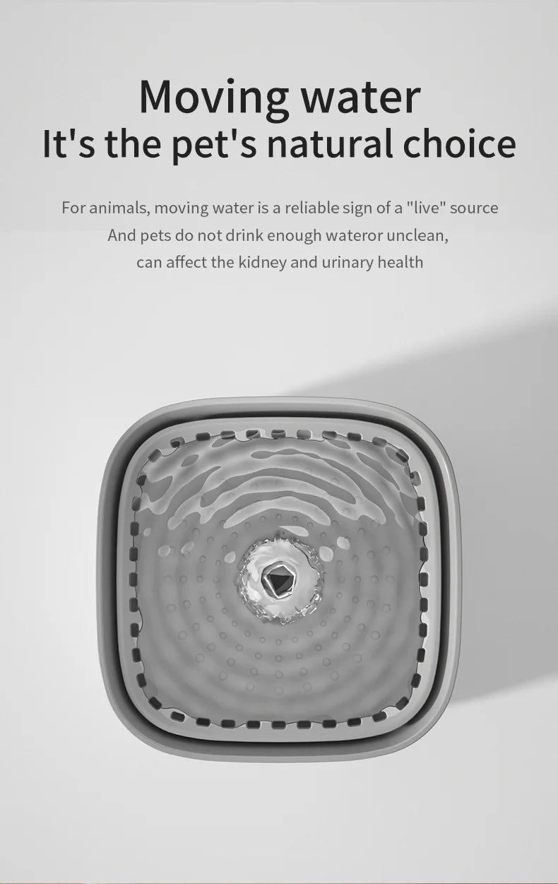 Fontaine à Eau pour Chat 3L – Filtration Automatique & Silencieuse