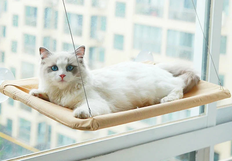 Hamac de Fenêtre pour Chat – Vue Panoramique, Supporte 20 kg