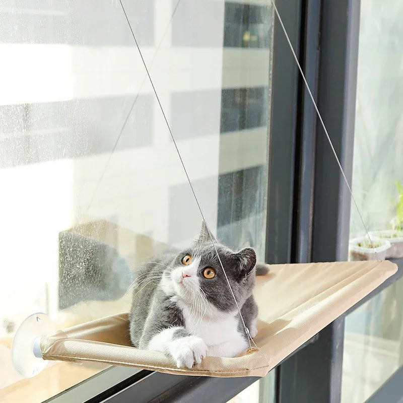 Hamac de Fenêtre pour Chat – Vue Panoramique, Supporte 20 kg