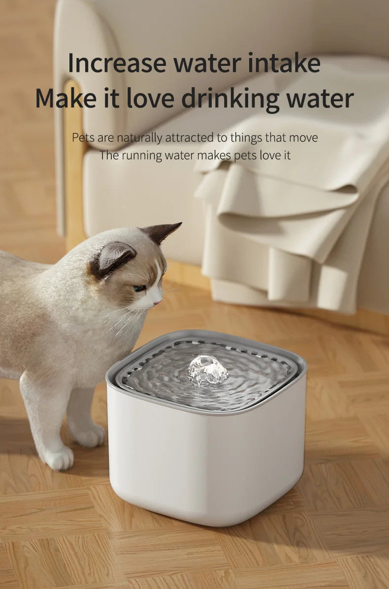 Fontaine à Eau pour Chat 3L – Filtration Automatique & Silencieuse