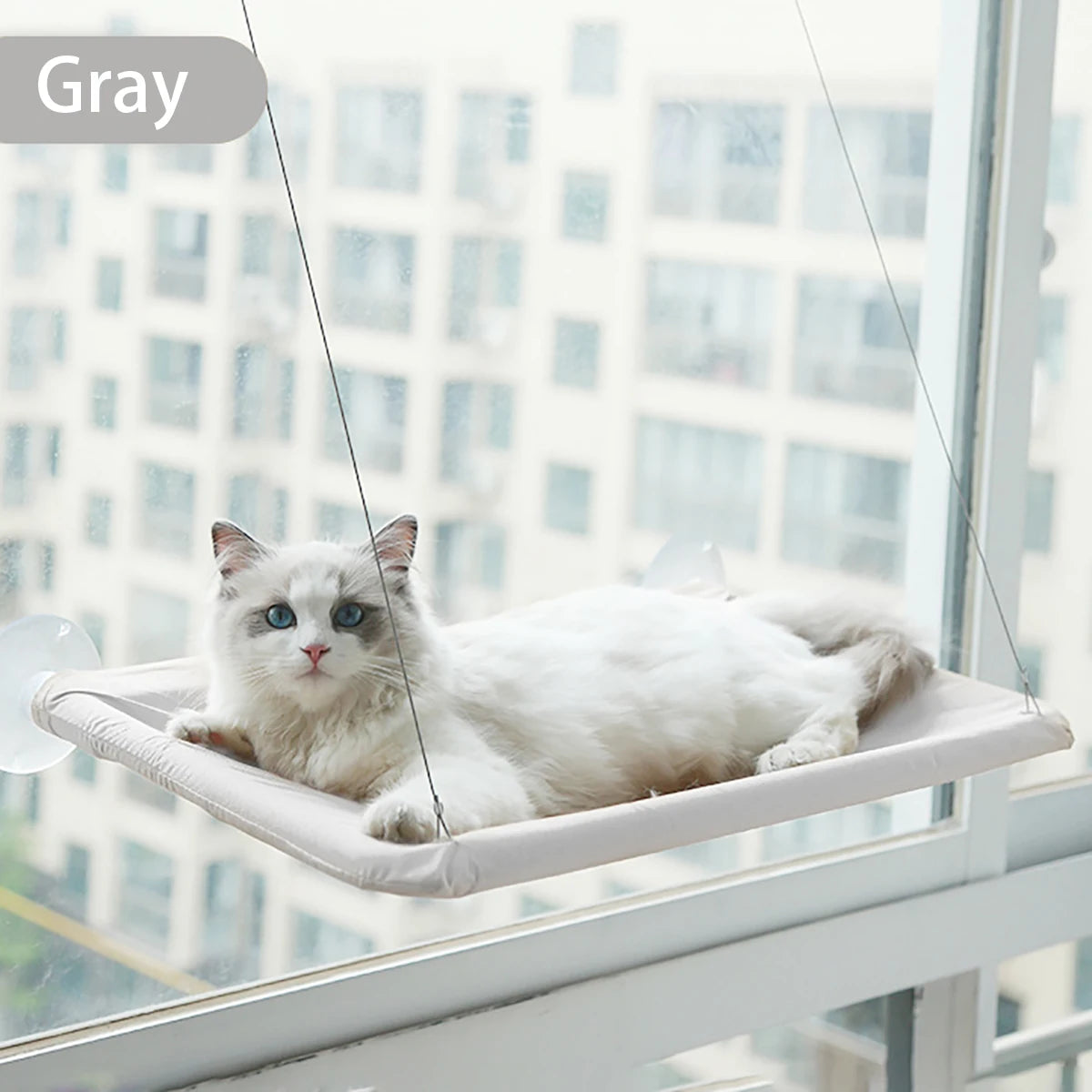 Hamac de Fenêtre pour Chat – Vue Panoramique, Supporte 20 kg