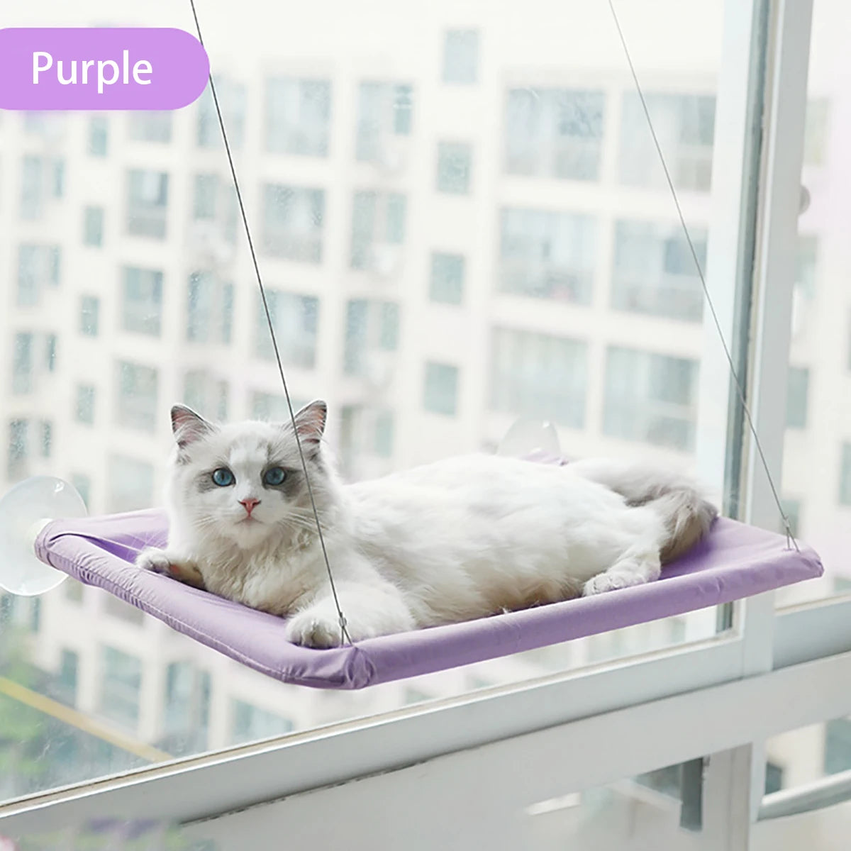 Hamac de Fenêtre pour Chat – Vue Panoramique, Supporte 20 kg