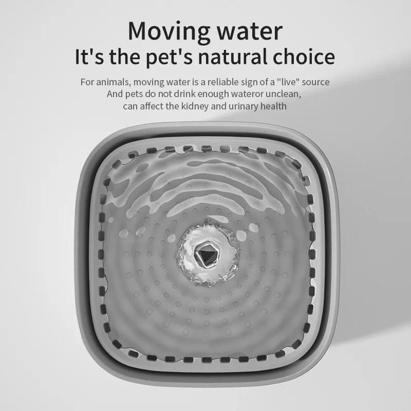 Fontaine à Eau pour Chat 3L – Filtration Automatique & Silencieuse