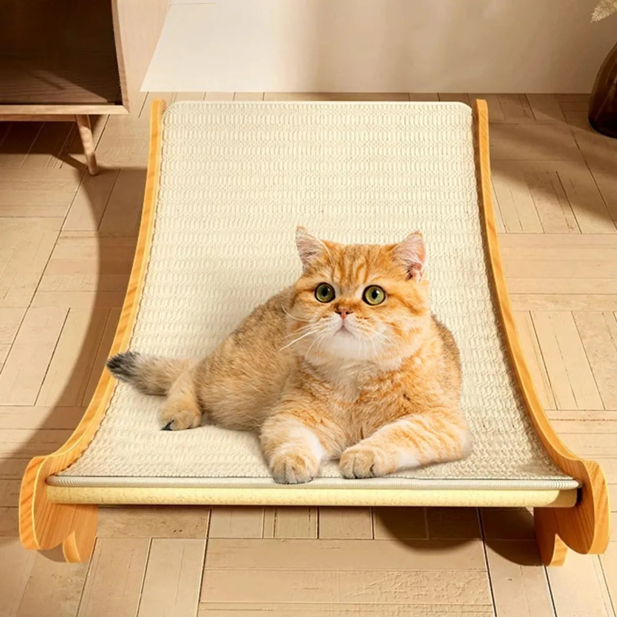 Griffoir en Sisal & Bois pour Chat – Design Naturel & Stable