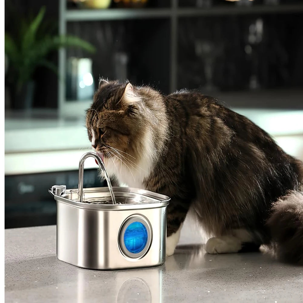 Fontaine à eau automatique pour chat - Inox 2.2L