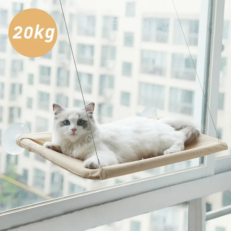 Hamac de Fenêtre pour Chat – Vue Panoramique, Supporte 20 kg