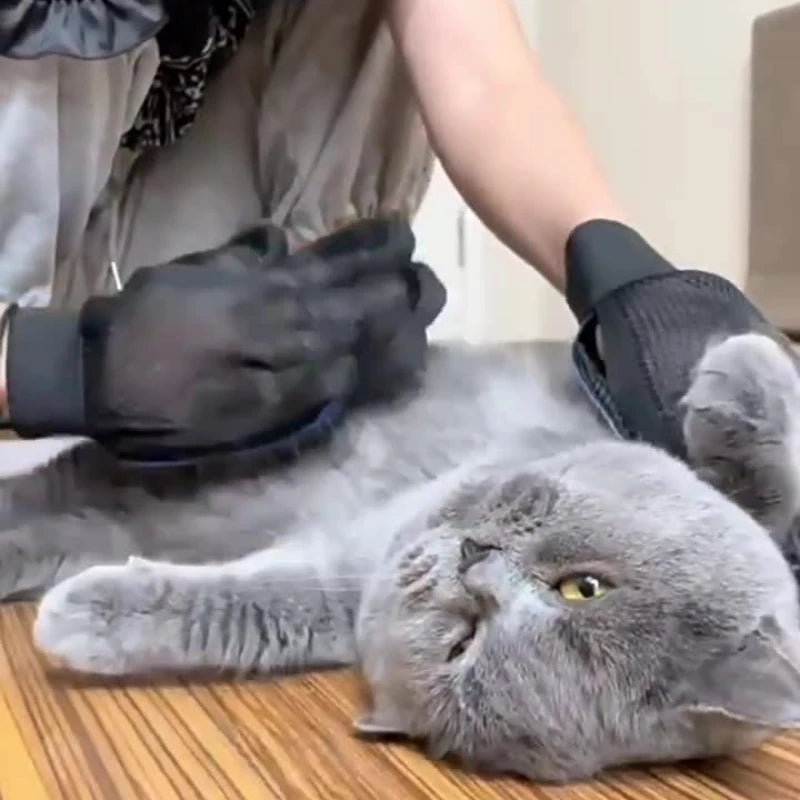 Gant de Toilettage en Silicone – Massage et Brossage 2 en 1 (Chat & Chien)