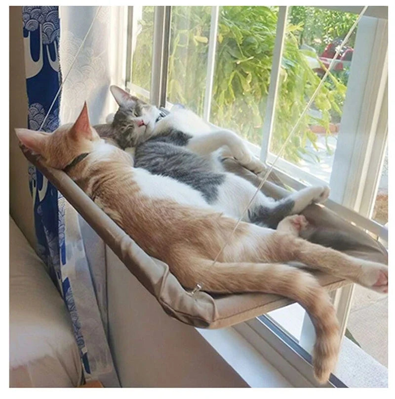 Hamac de Fenêtre pour Chat – Vue Panoramique, Supporte 20 kg